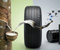 Giá cao su thiên nhiên lập đỉnh 2 năm ngành lốp xe chịu áp lực chi phí