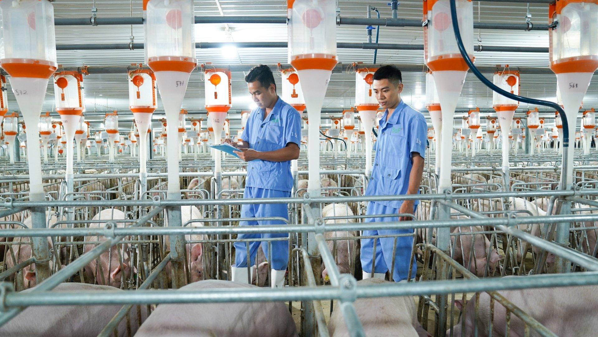 Chăn nuôi xanh trở thành yêu cầu cạnh tranh của doanh nghiệp